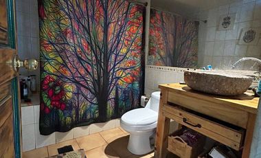 Gultro, Sector Ruta del Acido - Olivar