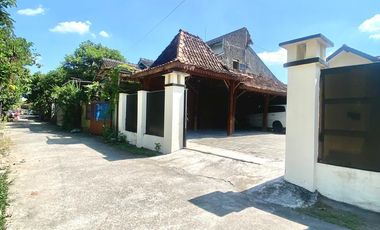 RUMAH JOGLO KLASIK DENGAN TANAH LUAS - HARGA MURAH DI SENDANGTIRTO