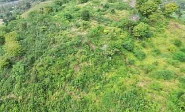 Tanah murah dekat pantai Tanjung ann Lombok. Cocok untuk kavlingan