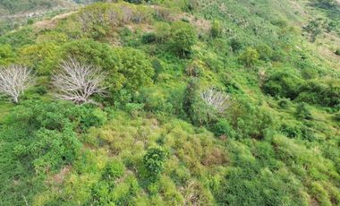 Tanah murah dekat pantai Tanjung ann Lombok. Cocok untuk kavlingan