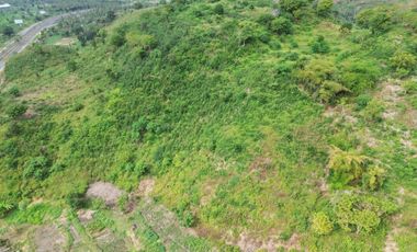 Tanah murah dekat pantai Tanjung ann Lombok. Cocok untuk kavlingan