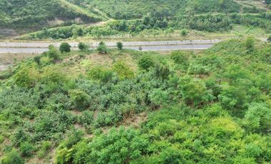 Tanah murah dekat pantai Tanjung ann Lombok. Cocok untuk kavlingan