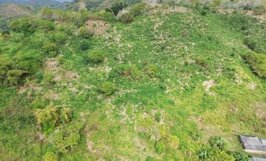 Tanah murah dekat pantai Tanjung ann Lombok. Cocok untuk kavlingan