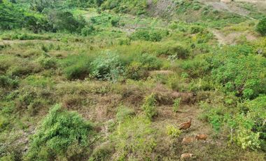 Tanah murah dekat pantai Tanjung ann Lombok. Cocok untuk villa