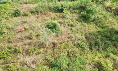 Tanah murah dekat pantai Tanjung ann Lombok. Cocok untuk villa