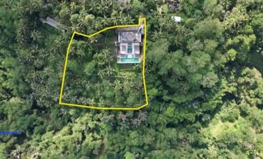 Villa Mewah Baru Full View Hutan di Tampak Siring