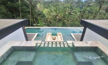 Villa Mewah Baru Full View Hutan di Tampak Siring