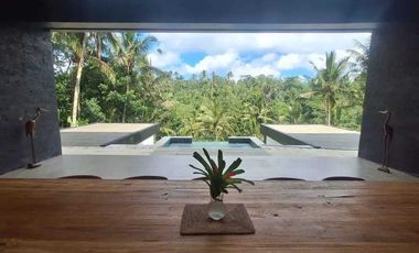 Villa Mewah Baru Full View Hutan di Tampak Siring