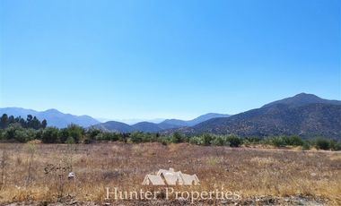 Sitio en Venta en Camino La Leonaera, despues de empresa Agrosuper verada Sur.