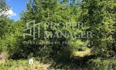 Parcela en Venta en Se vende Proyecto de 5 parcelas Loteadas e Inscritas en Yungay