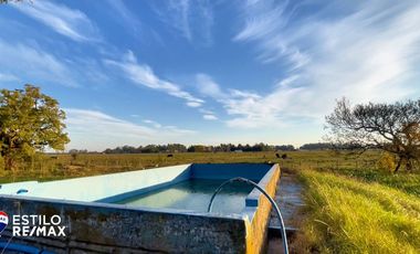 CHACRA 13,7 HAS en venta Sobre Ruta 215 Brandsen