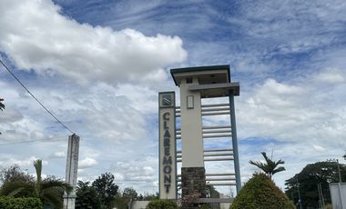 Affordable Lot Only For Sale Near Clark International Airport Pampanga