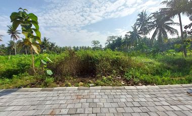 Kavling Siap Bangun 90jutaan Dekat Kampus UAD Wates