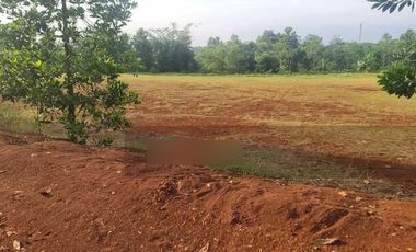 Dijual Murah dan Cepat Tanah di Rangkas Bitung