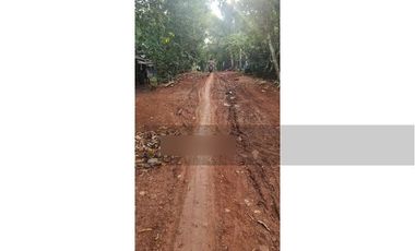 Dijual Murah dan Cepat Tanah di Rangkas Bitung