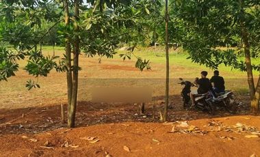 Dijual Murah dan Cepat Tanah di Rangkas Bitung