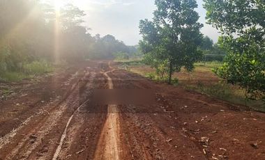 Dijual Murah dan Cepat Tanah di Rangkas Bitung