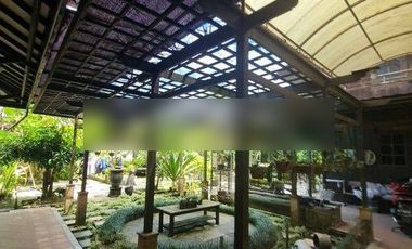 RUMAH ASRI DENGAN HALAMAN LUAS FULL FURNISH TENGAH KOTA BERNUANSA ALAM