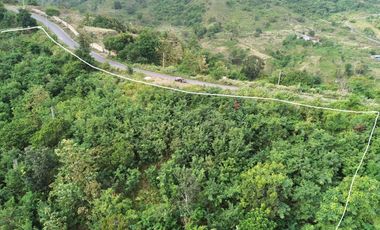 Tanah murah dekat pantai Torok Lombok. Cocok untuk villa