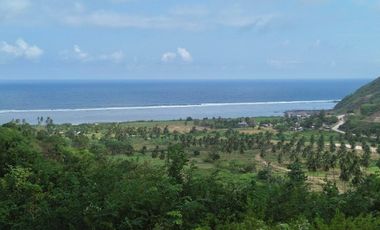 Tanah murah dekat pantai Torok Lombok. Cocok untuk villa