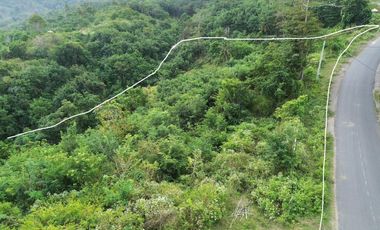 Tanah murah dekat pantai Torok Lombok. Cocok untuk villa