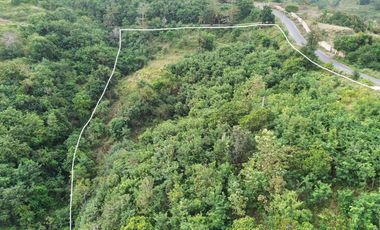 Tanah murah dekat pantai Torok Lombok. Cocok untuk villa