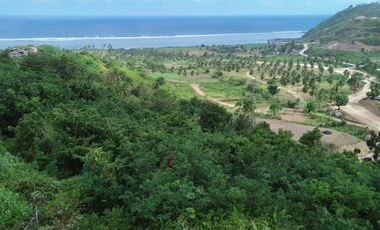 Tanah murah dekat pantai Torok Lombok. Cocok untuk villa