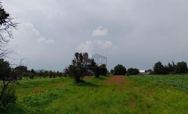 VENTA O RENTA DE TERRENO EN SAN LORENZO CHIAUTZINGO, PUEBLA