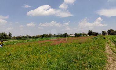 VENTA O RENTA DE TERRENO EN SAN LORENZO CHIAUTZINGO, PUEBLA