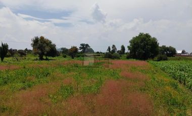 VENTA O RENTA DE TERRENO EN SAN LORENZO CHIAUTZINGO, PUEBLA