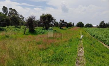 VENTA O RENTA DE TERRENO EN SAN LORENZO CHIAUTZINGO, PUEBLA