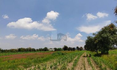 VENTA O RENTA DE TERRENO EN SAN LORENZO CHIAUTZINGO, PUEBLA