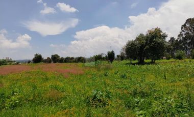 VENTA O RENTA DE TERRENO EN SAN LORENZO CHIAUTZINGO, PUEBLA