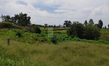 VENTA O RENTA DE TERRENO EN SAN LORENZO CHIAUTZINGO, PUEBLA