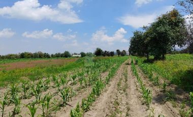 VENTA O RENTA DE TERRENO EN SAN LORENZO CHIAUTZINGO, PUEBLA