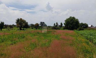 VENTA O RENTA DE TERRENO EN SAN LORENZO CHIAUTZINGO, PUEBLA