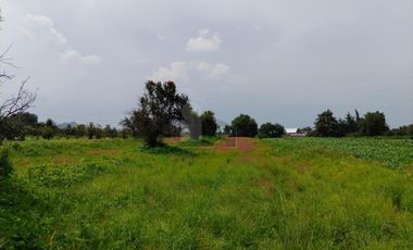 VENTA O RENTA DE TERRENO EN SAN LORENZO CHIAUTZINGO, PUEBLA