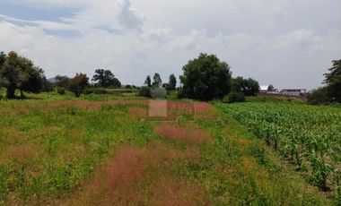 VENTA O RENTA DE TERRENO EN SAN LORENZO CHIAUTZINGO, PUEBLA