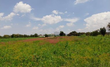 VENTA O RENTA DE TERRENO EN SAN LORENZO CHIAUTZINGO, PUEBLA