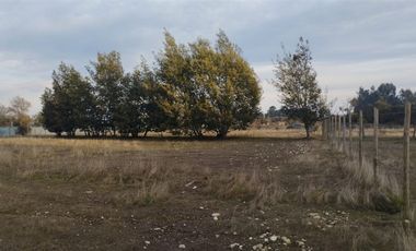Parcela en Venta en Sector Ballica Norte callejon los canelos camino a panimavida