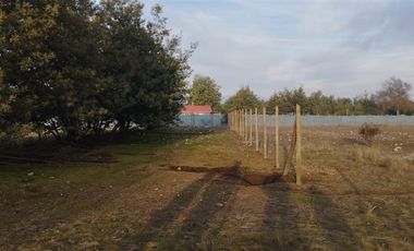 Parcela en Venta en Sector Ballica Norte callejon los canelos camino a panimavida