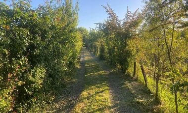 Parcela en Venta en Quillaimo