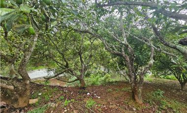 hermosa cabaña en zona centrica de mazamitla jalisco