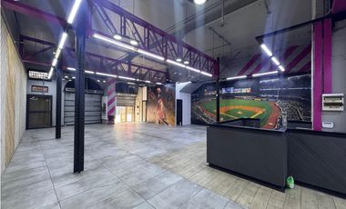 Arriendo Local Comercial, Puente, Santiago