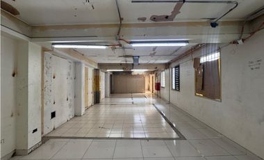 Arriendo Local Comercial, Puente, Santiago