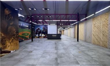 Arriendo Local Comercial, Puente, Santiago