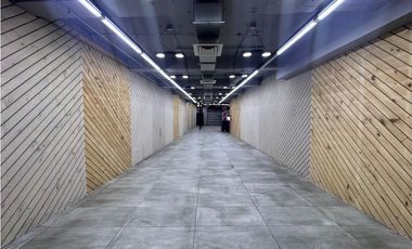 Arriendo Local Comercial, Puente, Santiago