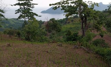 Dijual Cepat Tanah Cocok untuk Lokasi Villa Dan Wisata