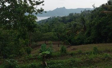 Dijual Cepat Tanah Cocok untuk Lokasi Villa Dan Wisata