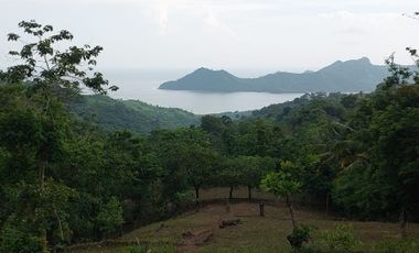 Dijual Cepat Tanah Cocok untuk Lokasi Villa Dan Wisata